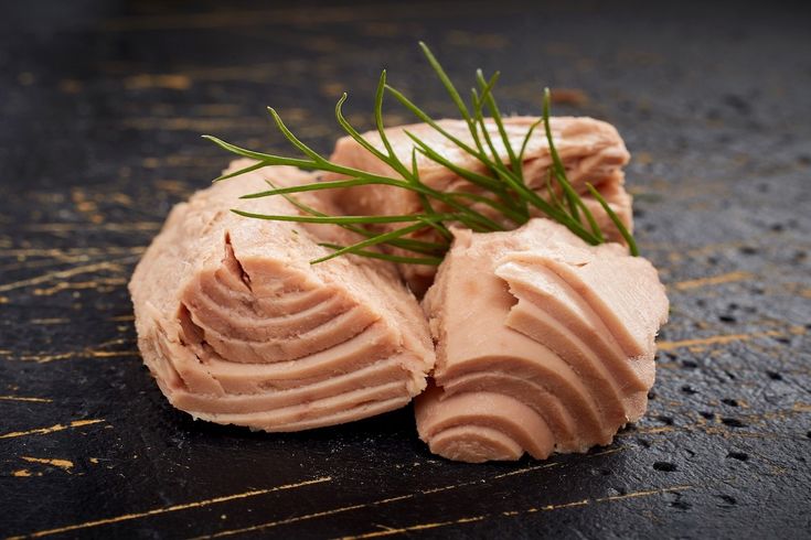 Bulk Emergency Canned Tuna for African Humanitarian Organizations & Refugee Programs; Wholesale Prices & Fast Delivery